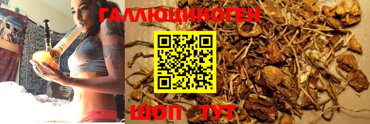Галлюциногенные грибы MAGIC MUSHROOMS  Псилоцибиновые грибы Magic Shrooms  Ставрополь  Вход с VPN 